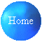 Home button